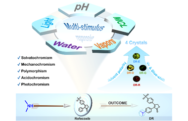 Dimethylamino Rofecoxib with four polymorphic crystals as a new multi-stimulus responsive material 2026.101109